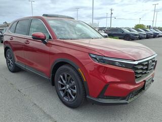 2026 Honda CR-V for sale in Morehead City NC