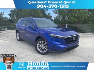 2023 Honda CR-V for sale in Jacksonville FL