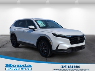 2026 Honda CR-V for sale in Cleveland TN