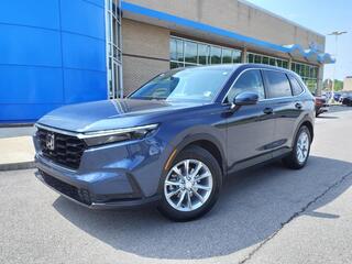 2025 Honda CR-V for sale in Gallatin TN