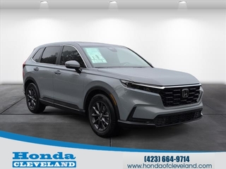 2026 Honda CR-V for sale in Cleveland TN