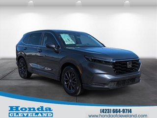 2026 Honda CR-V for sale in Cleveland TN