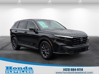 2026 Honda CR-V for sale in Cleveland TN