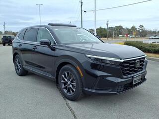 2026 Honda CR-V for sale in Morehead City NC