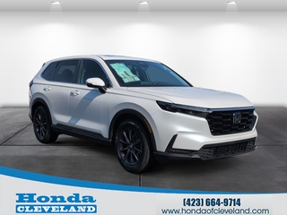 2026 Honda CR-V for sale in Cleveland TN