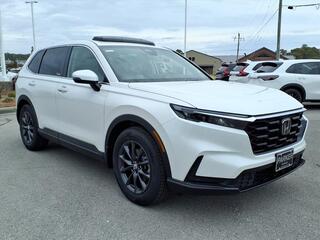 2026 Honda CR-V for sale in Morehead City NC