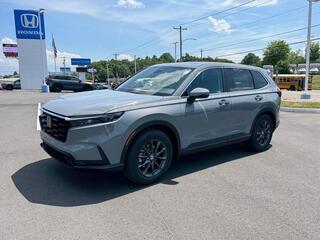 2026 Honda CR-V for sale in Johnson City TN