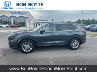 2025 Honda CR-V for sale in Brandon MS
