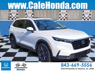 2026 Honda CR-V for sale in Florence SC