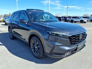 2026 Honda CR-V for sale in Morehead City NC
