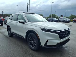 2026 Honda CR-V for sale in Morehead City NC