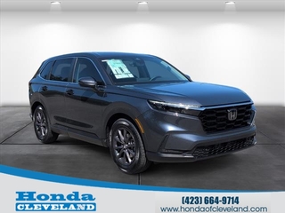 2026 Honda CR-V for sale in Cleveland TN