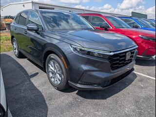 2025 Honda CR-V for sale in Bowling Green KY