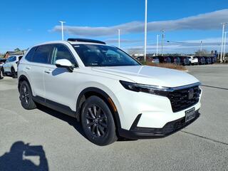 2026 Honda CR-V for sale in Morehead City NC