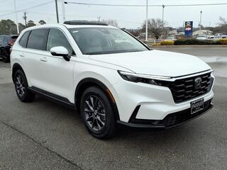 2026 Honda CR-V for sale in Morehead City NC