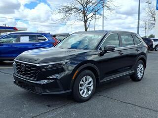 2023 Honda CR-V for sale in Mishawaka IN