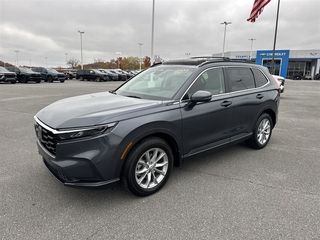 2024 Honda CR-V for sale in Johnson City TN