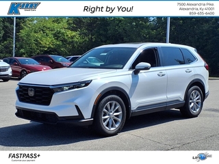 2023 Honda CR-V for sale in Alexandria KY
