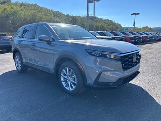 2026 Honda CR-V for sale in Bridgeport WV