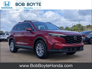 2023 Honda CR-V for sale in Brandon MS