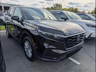 2026 Honda CR-V for sale in Bowling Green KY