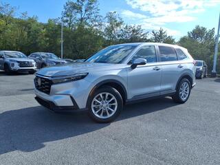 2024 Honda CR-V for sale in Kingsport TN