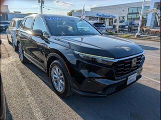 2024 Honda CR-V for sale in Bowling Green KY