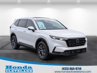 2026 Honda CR-V for sale in Cleveland TN