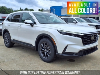 2026 Honda CR-V for sale in Bridgeport WV