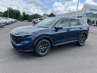 2026 Honda CR-V for sale in Johnson City TN