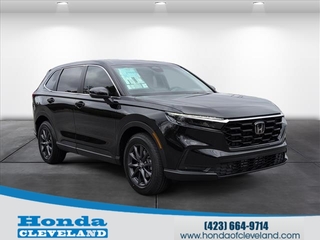 2026 Honda CR-V for sale in Cleveland TN