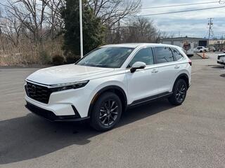 2026 Honda CR-V for sale in Johnson City TN