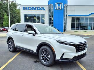 2026 Honda CR-V for sale in Tupelo MS