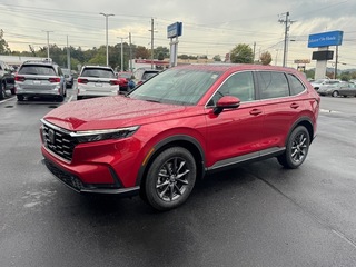 2026 Honda CR-V for sale in Johnson City TN