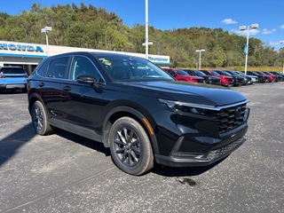 2026 Honda CR-V for sale in Bridgeport WV