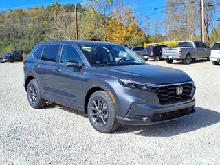 2026 Honda CR-V for sale in Bridgeport WV