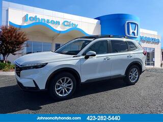 2024 Honda CR-V for sale in Johnson City TN