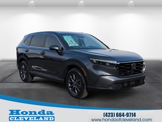 2026 Honda CR-V for sale in Cleveland TN