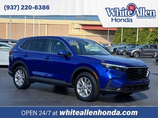 2023 Honda CR-V for sale in Dayton OH