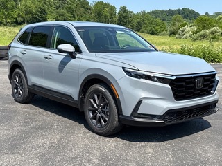2026 Honda CR-V for sale in Bridgeport WV