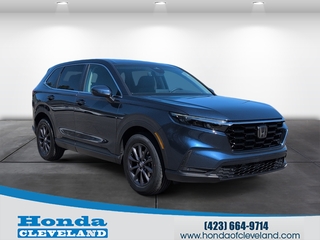 2026 Honda CR-V for sale in Cleveland TN
