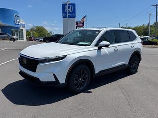 2026 Honda CR-V for sale in Johnson City TN