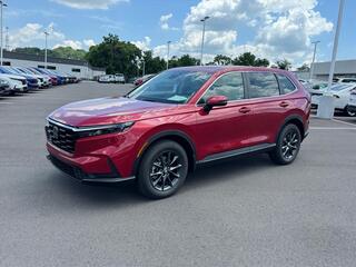 2026 Honda CR-V for sale in Johnson City TN