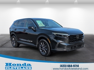 2026 Honda CR-V for sale in Cleveland TN