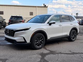 2026 Honda CR-V for sale in Beckley WV