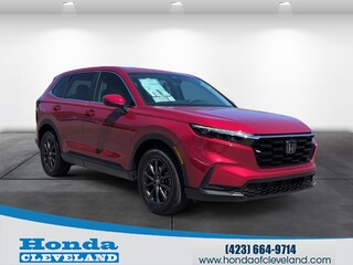 2026 Honda CR-V for sale in Cleveland TN
