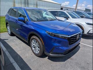 2025 Honda CR-V for sale in Bowling Green KY