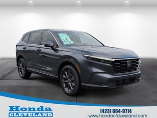 2026 Honda CR-V for sale in Cleveland TN