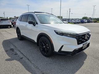 2025 Honda CR-V Hybrid for sale in Morehead City NC
