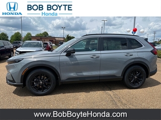 2025 Honda CR-V Hybrid for sale in Brandon MS